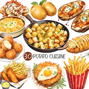 Cocina de patata PNG / Receta de plato de comida Hash Brown Pescado Chips Ensalada Frito Acordeón Sopa Puré Ñoquis Pastel Tarta de queso Gratinado Sándwich illust