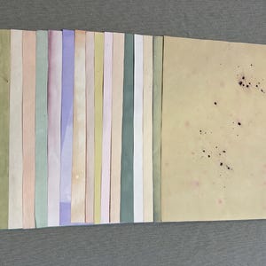Papiers pastel assortis| Journaux indésirables | Papiers teints à la main | 15 feuilles | Pages en papier teinté Coffee Avacado| Pack couleur scrapbooking