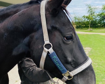 personalized Velcro to match the halter