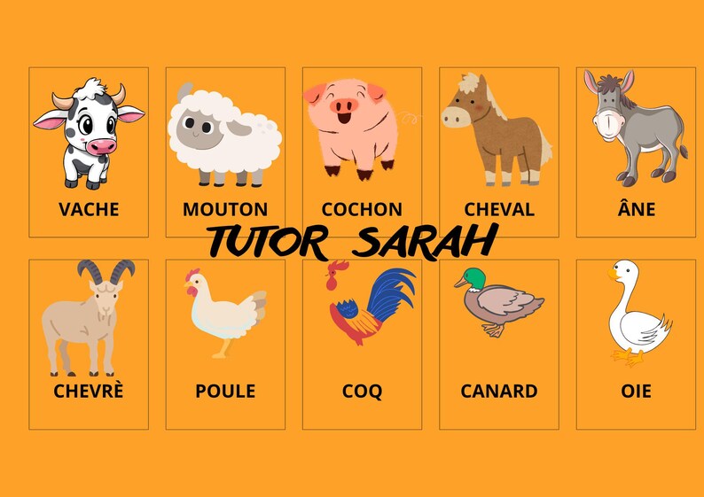 Farm Animals Flash Cards in French - Etsy