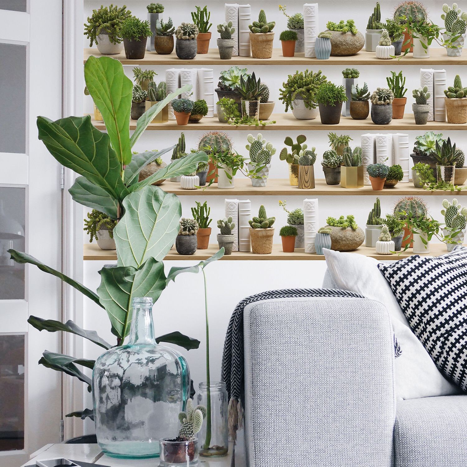 Papier Peint Cactus Stylisés sur Étagères