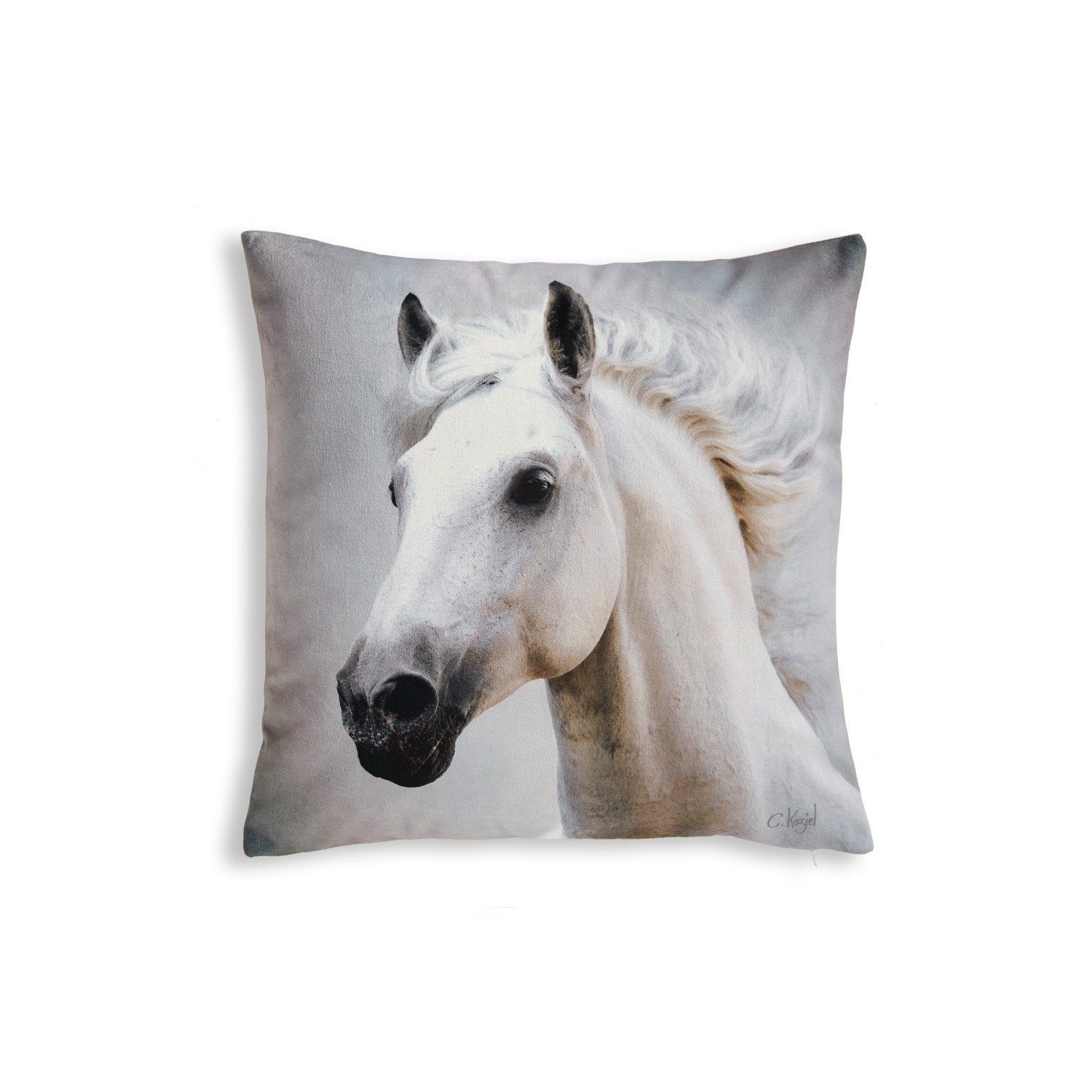 Coussin Cheval
