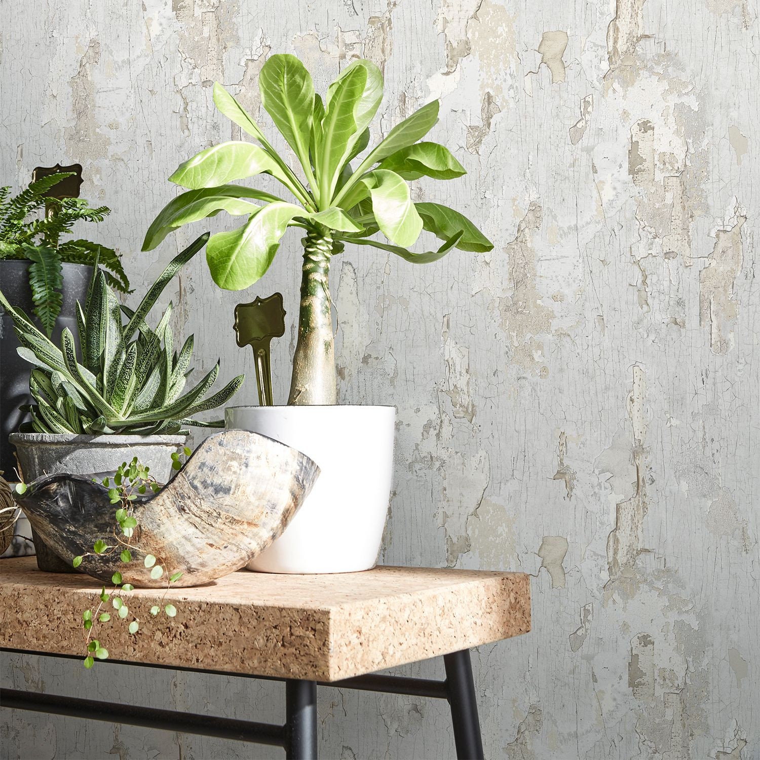 Papier Peint Peinture Écaillée Grise