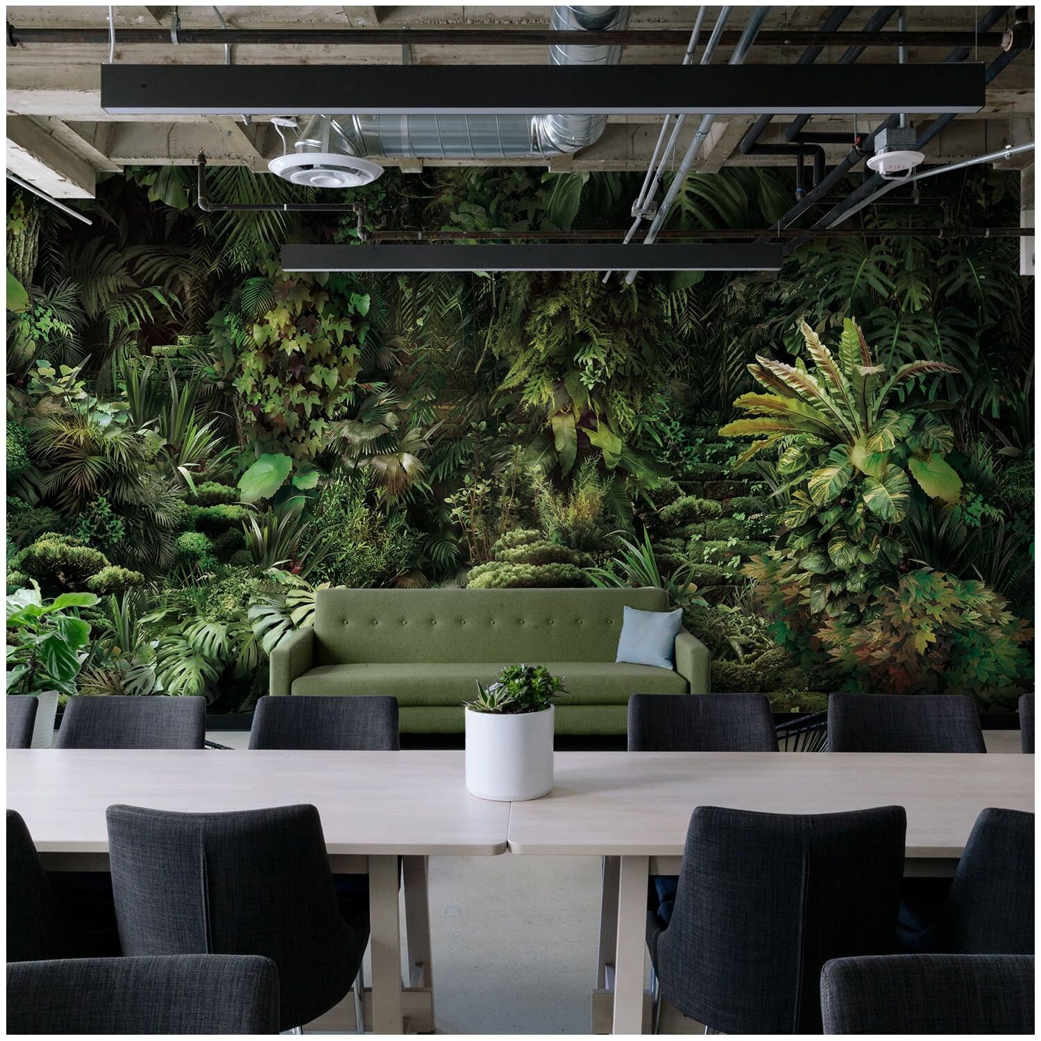 Papier Peint Panoramique Jungle Urbaine Au Crépuscule 5 Lés