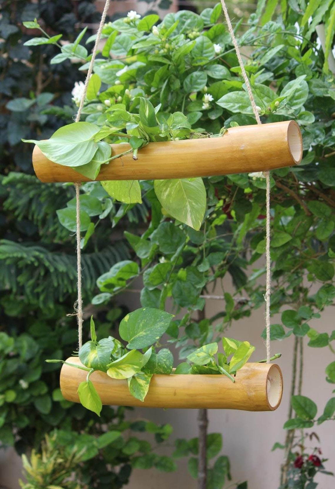Planter For Bamboo