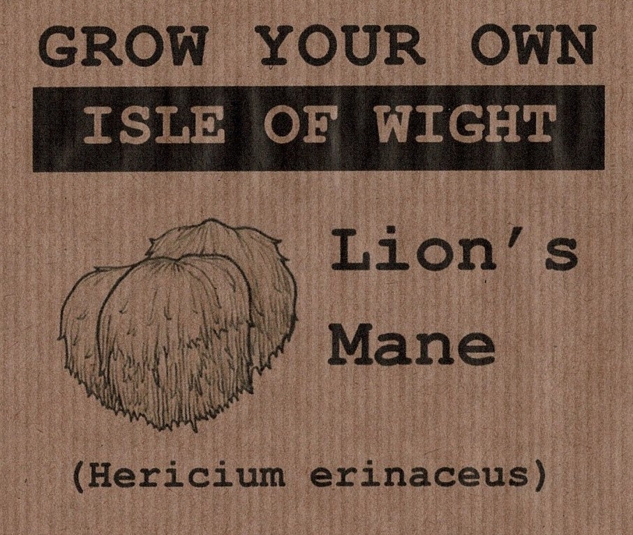 UK Lion's Mane Grow Kit Etsy