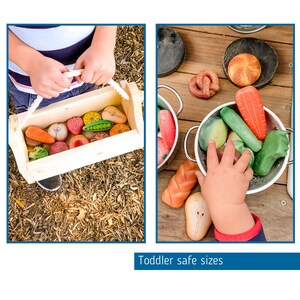 Play Food - Pretend Food Set - Story Rocks - Kitchen Sensory Stones - Mud Kitchen Accessory - Toy Kitchen Add On - Play Food Set - Vegetable image 6