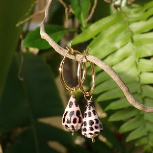 gold filled hebrew hoop earrings: hebrew cone shell dangle, 25mm, 20mm