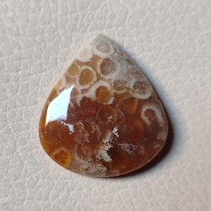 natural Fossil Coral cabochon- Fossil Coral Stone -fossil coral Gemstone Lot - Bulk Gemstone  jewellery making loose stone size 32x29x7 mm