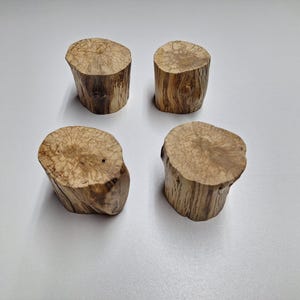 Può includere: Quattro piccoli pezzi di legno naturale di colore marrone chiaro e superficie strutturata. Le parti superiori sono circolari e i lati mostrano le venature del legno. Questi pezzi decorativi potrebbero essere usati come sottobicchieri o piccoli accenti decorativi.