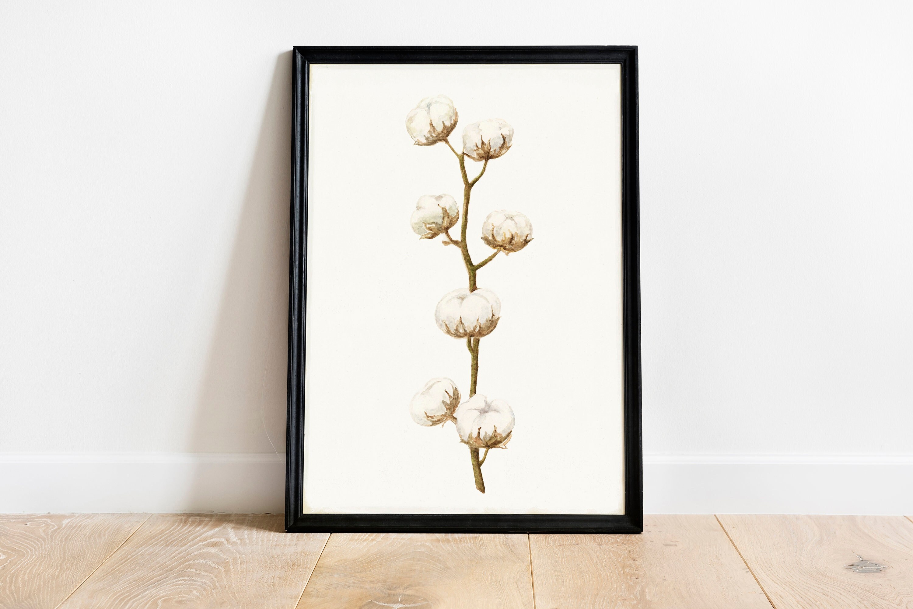Watercolor Cotton Flower Art Print: Botanical Wall Decor (digital ...