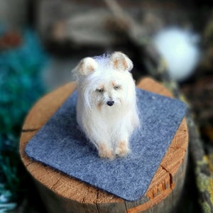 Needle felted AUSTRALIAN SILKY TERRIER Dollhouse miniatures animals Miniature dog Needle felted animals image 5