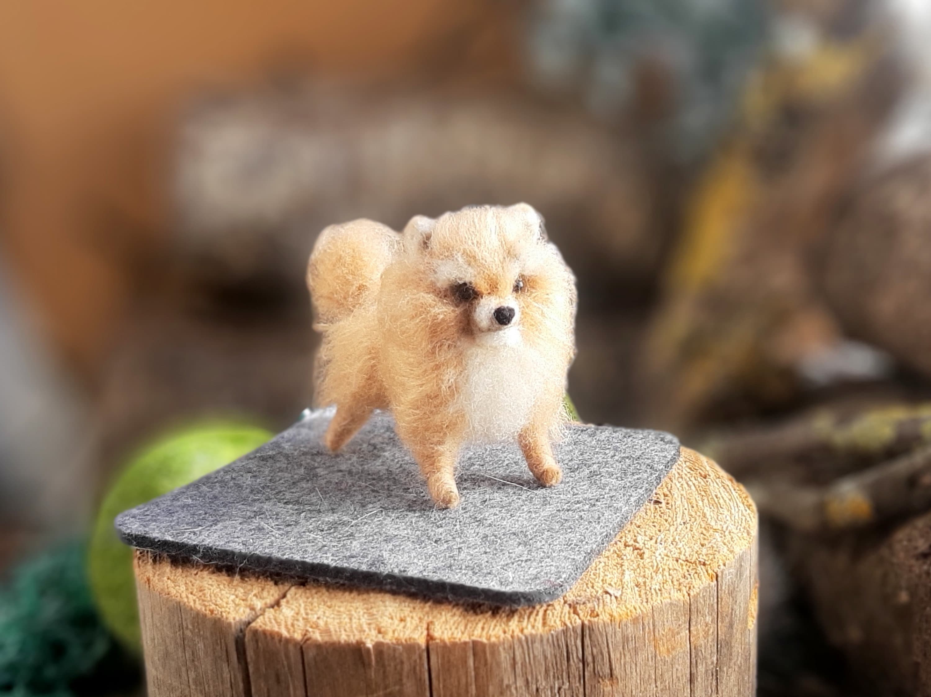 Dollhouse Pomeranian
