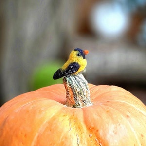 Tiny ORIOLE FELTED BIRDS ornament Dollhouse miniatures Needle Felted birds