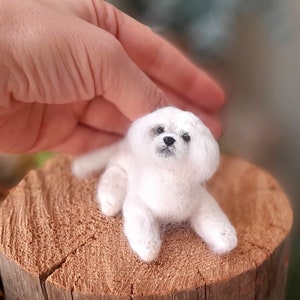 Needle felted MALTESE Dollhouse miniatures animals Miniature dog Needle felted animals Felt dog image 8