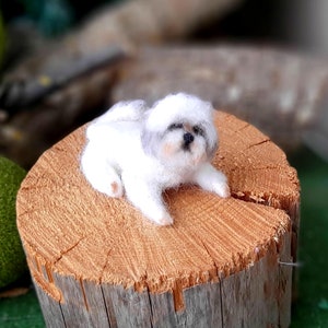 Needle felted SHIH TZU Dollhouse miniatures animals Miniature dog Needle felted animals Felt dog image 3