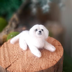 Needle felted MALTESE Dollhouse miniatures animals Miniature dog Needle felted animals Felt dog image 3