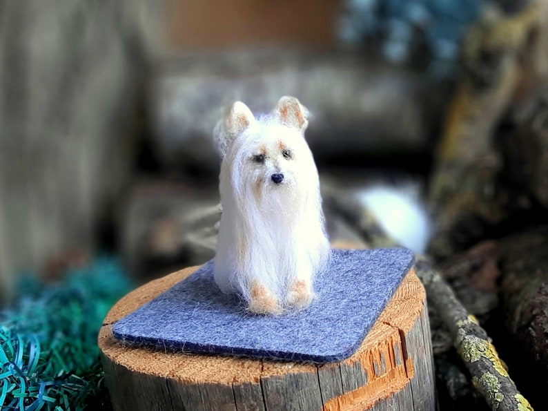 Needle felted AUSTRALIAN SILKY TERRIER Dollhouse miniatures animals Miniature dog Needle felted animals image 2