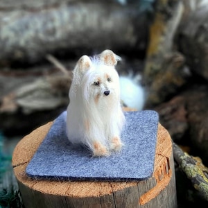 Needle felted AUSTRALIAN SILKY TERRIER Dollhouse miniatures animals Miniature dog Needle felted animals image 3