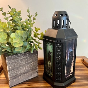 Black Cat Witchy Lantern with lights 8 3/4”H x 4”W