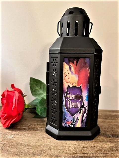Sleeping Beauty Lantern