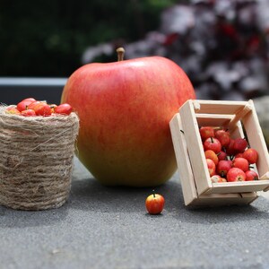 Puede incluir: Una manzana roja, una pequeña cesta llena de manzanas rojas y una pequeña cesta llena de manzanas rojas, todo sobre una superficie gris.