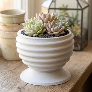 May include: A white, ribbed ceramic planter with a pedestal base, filled with succulents. The arrangement sits on a wooden windowsill, with other small pots and a glass terrarium in the background.
