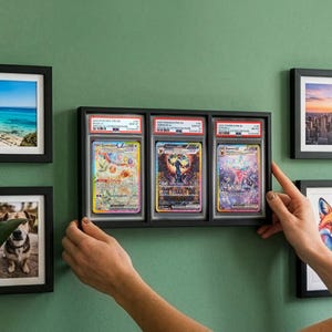 May include: A black rectangular display frame holding three graded trading cards, mounted on a green wall alongside four smaller black picture frames containing various images of a beach, a dog, a city skyline, and a colorful fox illustration.
