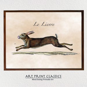 May include: A vintage illustration of a brown hare running, with the text "Le Lievre" above it. The image is set against a beige background and framed in a brown wood frame.