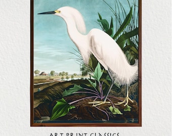 Snowy Heron Art Printable, Audubon White Egret Coastal Wall Art Download, Vintage Bird Print, Printable Wall Art