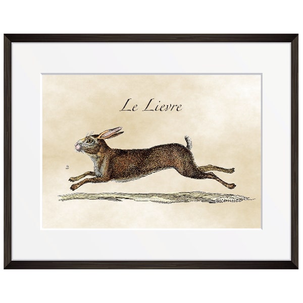 Vintage French Rabbit Watercolor Illustration Le Lievre or The Hare Downloadable Print