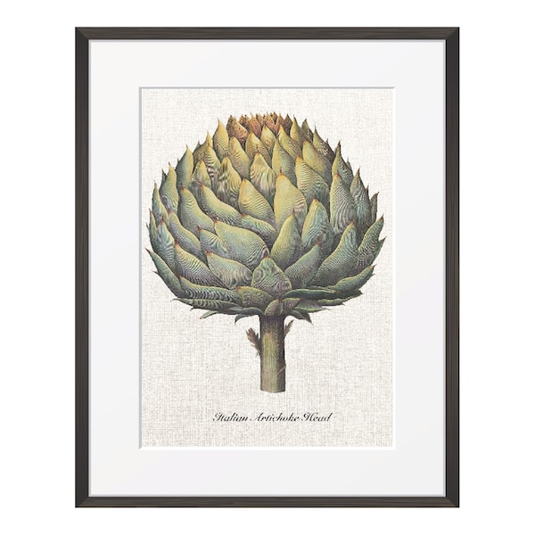 Digital Download Artichoke Printable, Vintage Artichoke Illustration Printable Art, Besler Botanical, Cottage Decor, French Country Decor