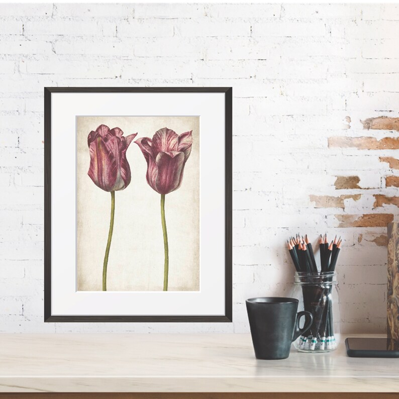 Digital Download Pink Tulips Printable Vintage Botanical - Etsy