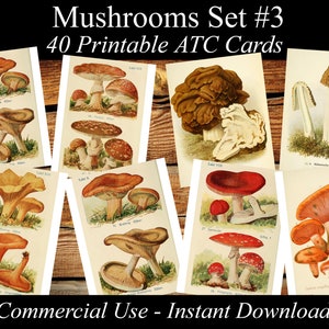 MUSHROOMS Set #3 - digital collage sheet 40 ATC cards Printable Instant Download Image Digital Cards Tags vintage image jpg edible fungi