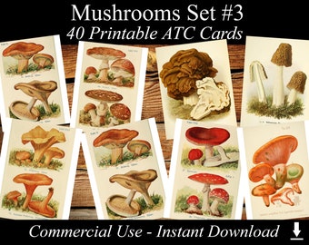 MUSHROOMS Set #3 - digital collage sheet 40 ATC cards Printable Instant Download Image Digital Cards Tags vintage image jpg edible fungi