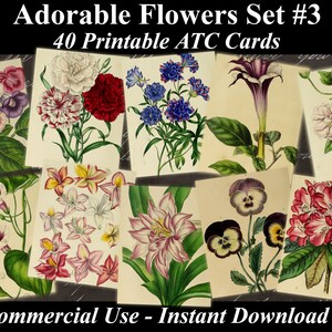 40 ADORABLE FLOWERS #3 - Digital Collage Sheets Flowers, Vintage Cards, Printable Download, Digital Collage, Floral Art, Flower Atc, Aceo