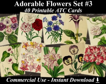 40 ADORABLE FLOWERS #3 - Digital Collage Sheets Flowers, Vintage Cards, Printable Download, Digital Collage, Floral Art, Flower Atc, Aceo