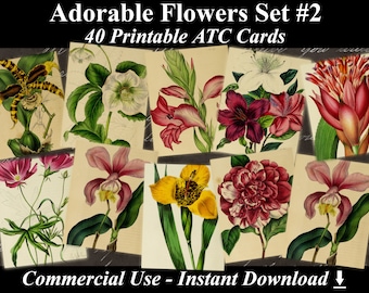 40 ADORABLE FLOWERS #2 - Digital Collage Sheets Flowers, Vintage Cards, Printable Download, Digital Collage, Floral Art, Flower Atc, Aceo
