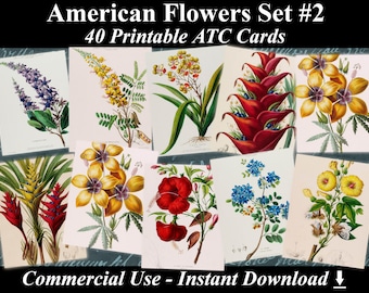 40 AMERICAN FLOWERS #2 - Digital Collage Sheets Flowers, Vintage Cards, Printable Download, Digital Collage, Floral Art, Flower Atc, Aceo