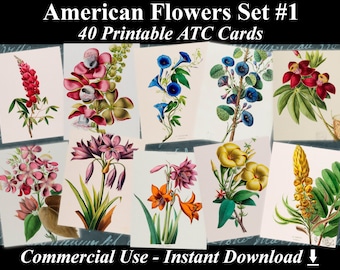 40 AMERICAN FLOWERS #1 - Digital Collage Sheets Flowers, Vintage Cards, Printable Download, Digital Collage, Floral Art, Flower Atc, Aceo