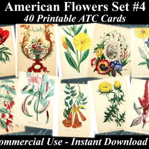 May include: Set of 40 printable ATC cards featuring vintage illustrations of American flowers. The cards feature a variety of flowers, including roses, lilies, and daisies, in a variety of colors. The cards are perfect for scrapbooking, card making, and other craft projects.