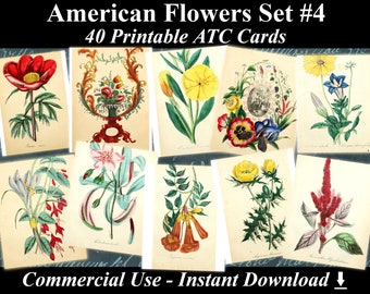 40 AMERICAN FLOWERS #4 - Digital Collage Sheets Flowers, Vintage Cards, Printable Download, Digital Collage, Floral Art, Flower Atc, Aceo