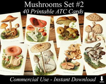 MUSHROOMS Set #2 - digital collage sheet 40 ATC cards Printable Instant Download Image Digital Cards Tags vintage image jpg edible fungi