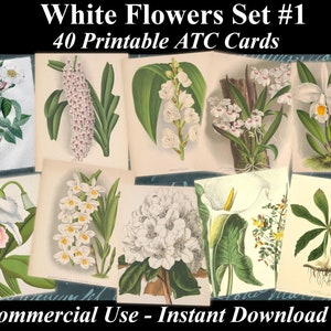 40 WHITE FLOWERS SET #1 - Digital Collage Sheets Flowers, Vintage Cards, Printable Download, Digital Collage, Floral Art, Flower Atc, Aceo
