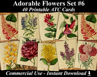 40 ADORABLE FLOWERS #6 - Digital Collage Sheets Flowers, Vintage Cards, Printable Download, Digital Collage, Floral Art, Flower Atc, Aceo