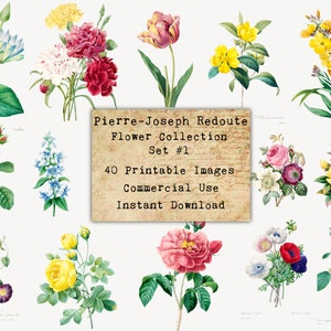 40 REDOUTE FLOWERS SET #1 - Folhas de colagem digital Flores, Cartões vintage, Download para impressão, Colagem digital, Arte floral, Flor Atc, Aceo