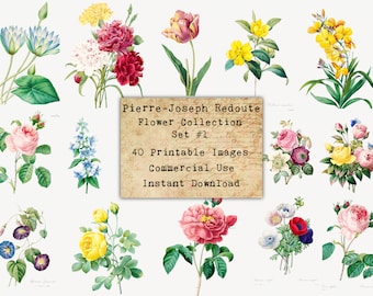 May include: A collection of 40 printable images featuring vintage botanical illustrations of flowers. The images are from the Pierre-Joseph Redoute Flower Collection, Set #1. The images are suitable for commercial use and are available for instant download.