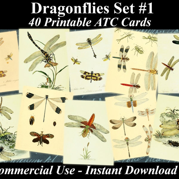 Vintage Dragonfly - Etsy