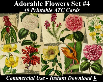 40 ADORABLE FLOWERS #4 - Digital Collage Sheets Flowers, Vintage Cards, Printable Download, Digital Collage, Floral Art, Flower Atc, Aceo