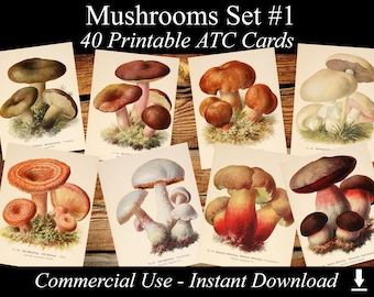 MUSHROOMS Set #1 - digital collage sheet 40 ATC cards Printable Instant Download Image Digital Cards Tags vintage image jpg edible fungi